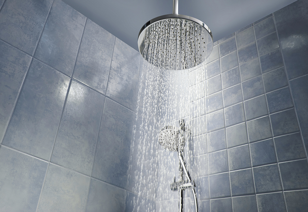 How often Should You Replace Your Shower Head - Plumbing, Heating and  Cooling Services in New Jersey